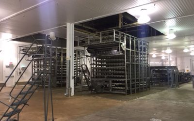 DrOetker-5